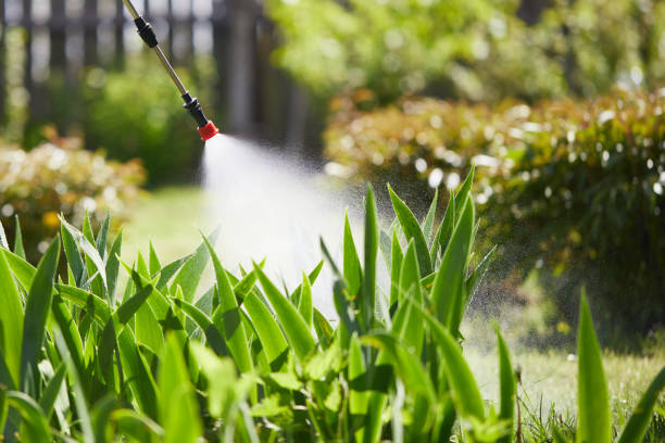 24/7 Emergency Termite Control experts in Prospect, KY